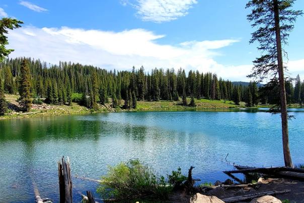 Insider's Guide to the Grand Mesa