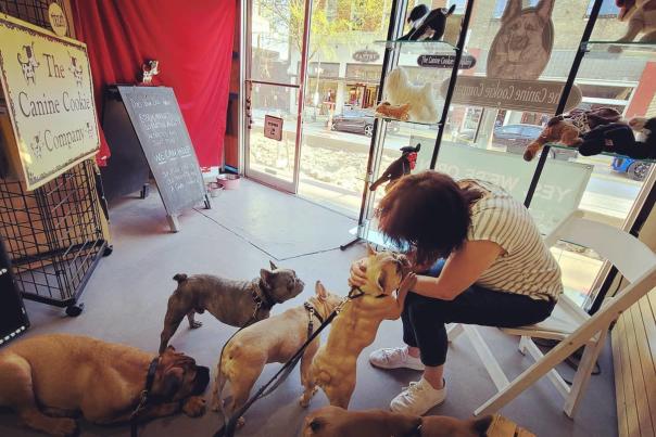 Stephanie Ferrar with a bevy of dogs