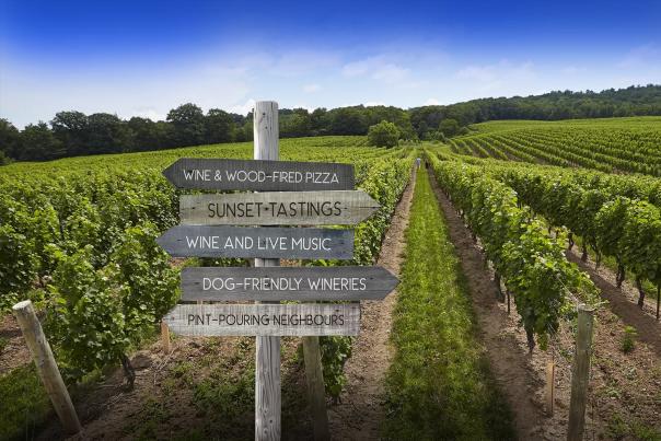 Vineyard signs
