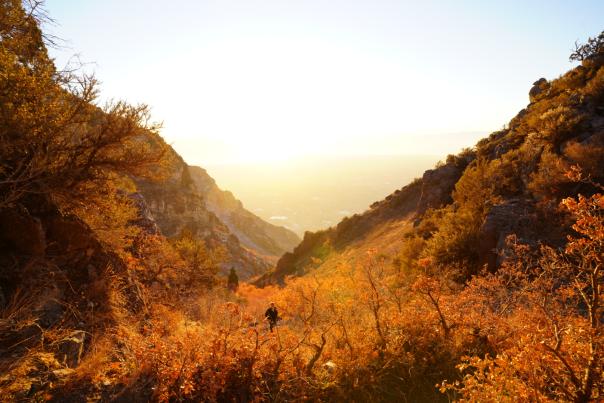 Hobble Creek Canyon