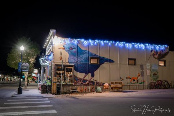 The Bowerbird's Den - Granby, Colorado - 1