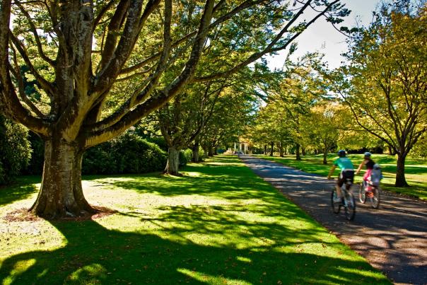 Cycling in Queens Park, Invercargill