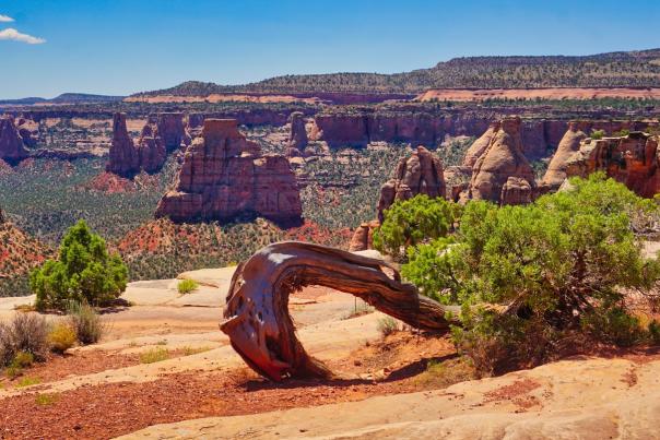 View of Colorado National Monument