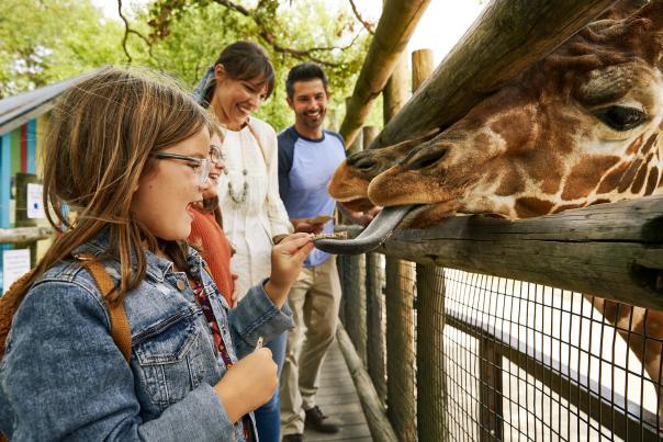 Family feeding giraffes at Dickerson Park Zoo