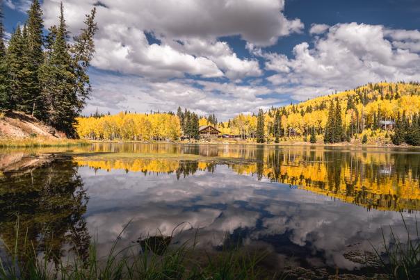 Grand Mesa in Autumn