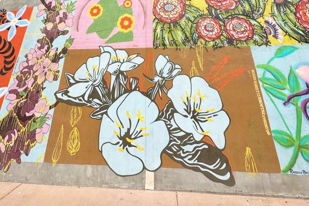 View of Downtown Grand Junction Mural