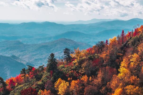 Fall Color - @adam_saari