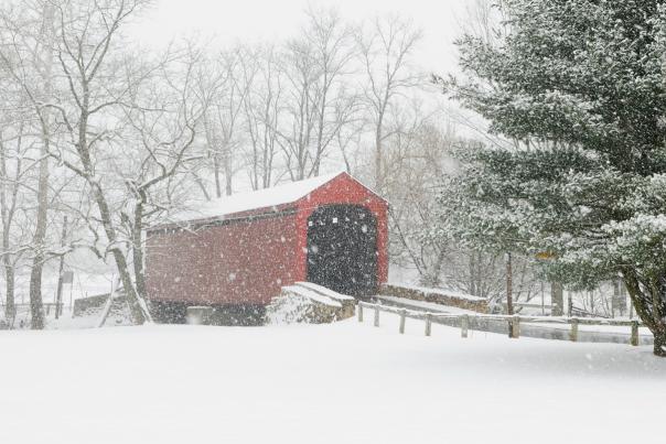 Winter Bridge