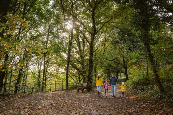Family walking outdoors in Penllergare Woods Swansea