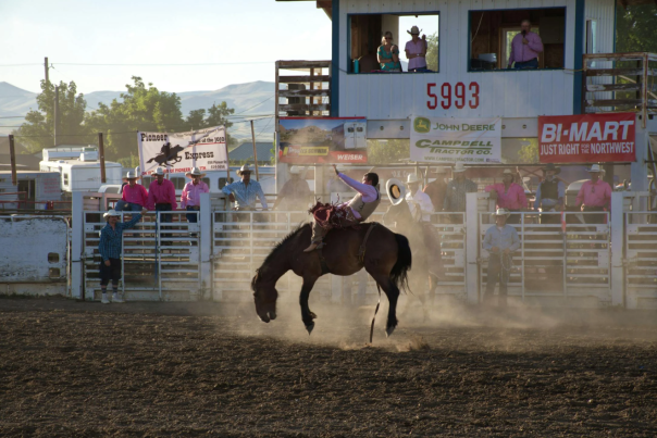 estes rodeo