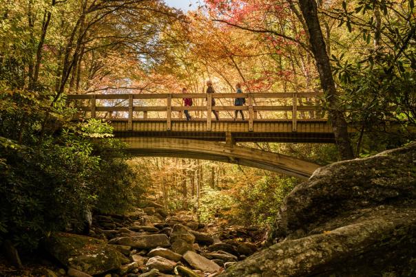 Two young hikers are accompanied by an adult woman as they cross a wooden bridge beneath a canopy of red and gold autumn leaves.