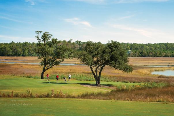 a group of golfers putting on a golf course hole surrounded by a river