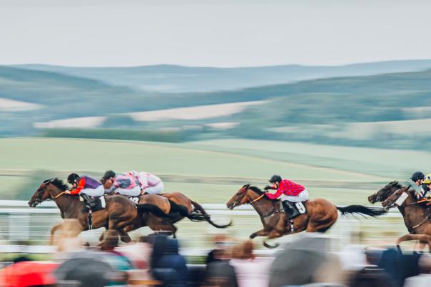 Horseracing at Goodwood