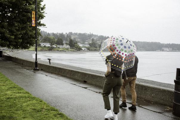 Two people walking under an umbrella in the rain by a beach