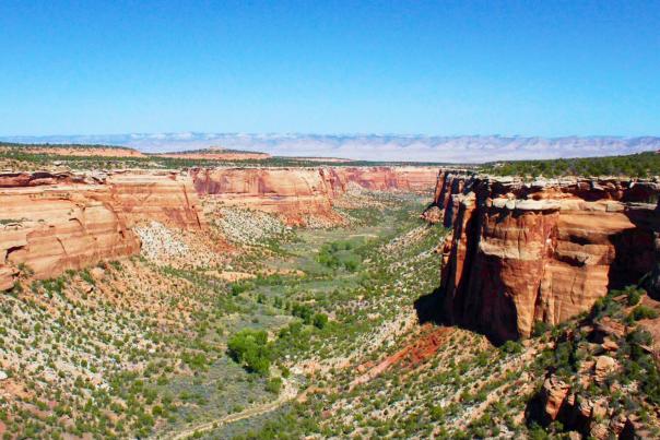 View of a canyon in Colorado National Monument