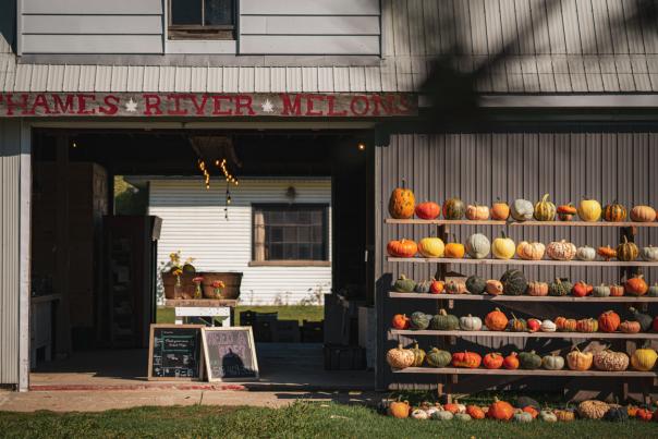 Thames River Melons Pumpkins