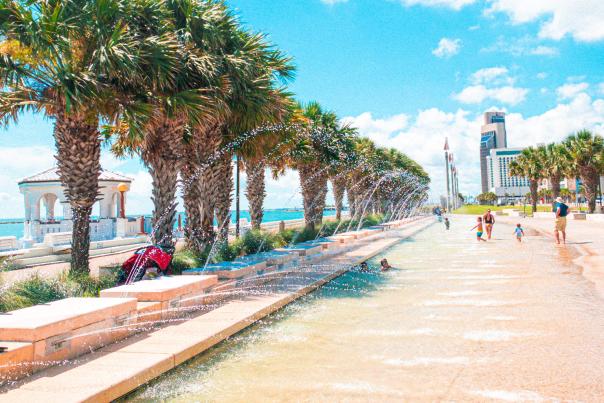An image of a sunny walkway with palm trees.