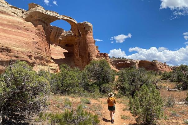 Grand Junction Listed as a Top Travel Destination in 2023