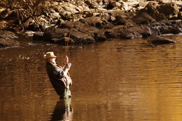 Fly fishing in Mataura River - Southland is world renowned for its brown trout fly fishing