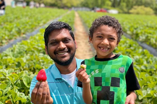 A father and son pose in a strawberry field holding up ripe strawberries at Smith's Nursery in Benson, NC.