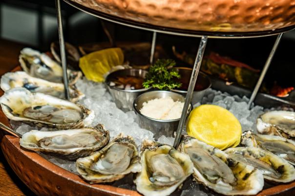 oyster-tortugas