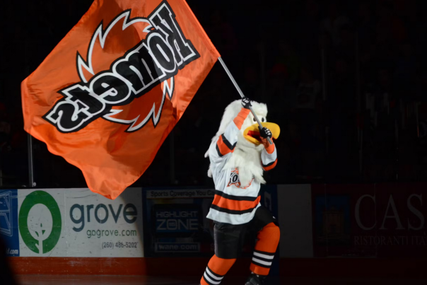 Icy the Eagle running with the Komets Flag