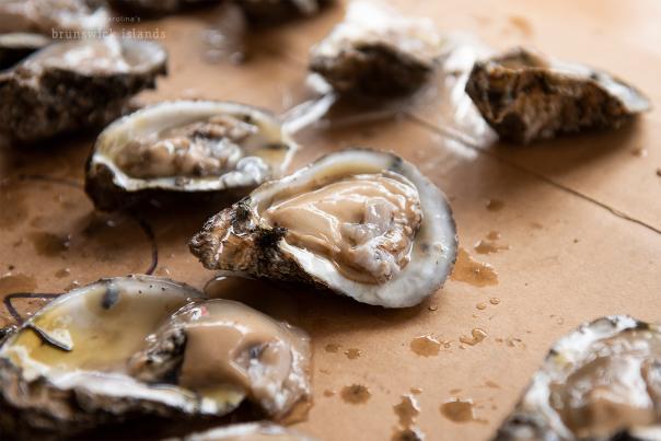 close up of shucked oysters at the NC Oyster Festival