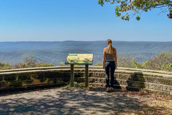 Scenic view
