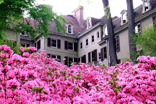The Winterthur Museum, Garden & Library