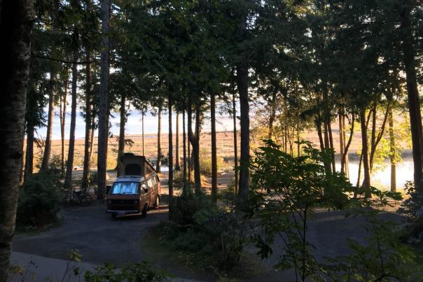 A campervan parked at a forested campsite.