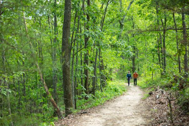 Enjoy a trek through one of the many beautiful trails in the Knoxville area.
