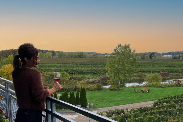 Woman Vineyard Sunset Farm
