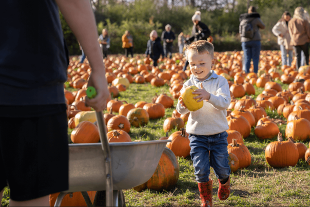 child picking out a pumpkin from a garden patch