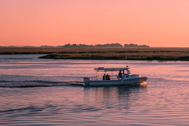 Boat charters are one of the popular ways to tour the waterways around the Golden Isles of Georgia