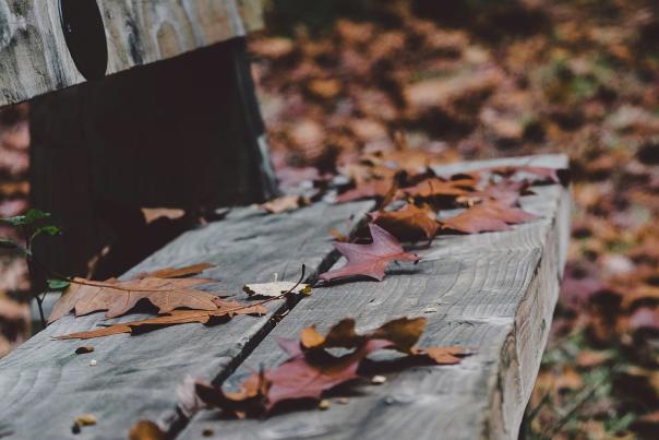 Photograph of a wooden bench with fallen autumn leaves scattered around