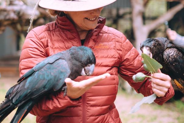 Kaarakin Wildlife Experience