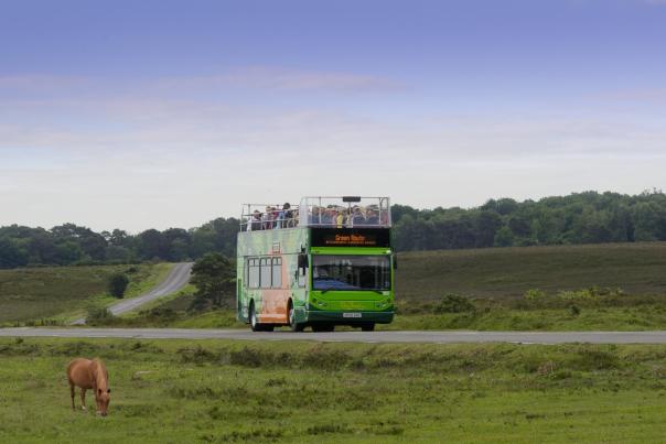 New Forest Tour Bus