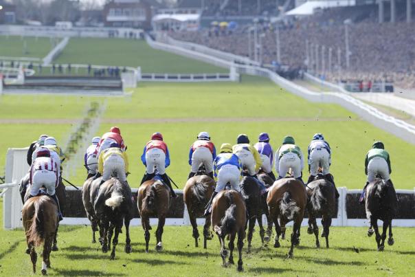 Cheltenham Racecourse