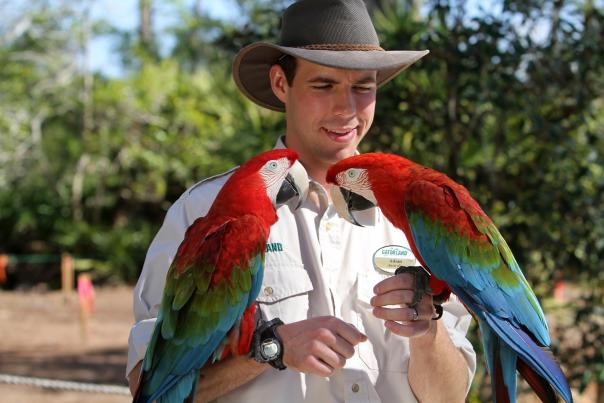 Gatorland man holding two parrots