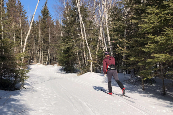 Classic cross country skier on the Massie Loop on the Norpine Ski Trail System