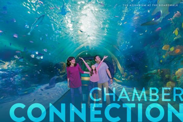 Chamber Newsletter: July 24, 2025