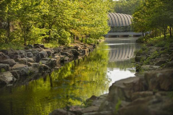 Looking up the creek at crystal bridges museum of american art