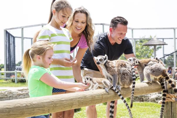 Family feeding lemurs at Tanganyika Wildlife Park