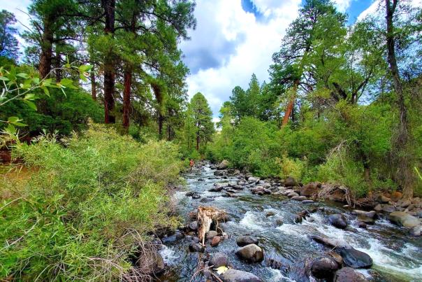 View of Kannah Creek