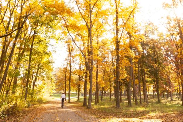 Hudson Mills Metropark