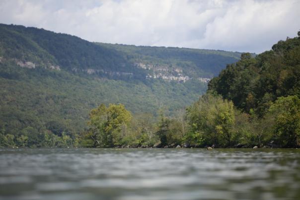 Close up of TN River