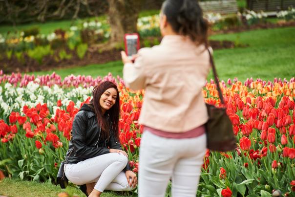 Longwood Gardens Spring Blooms