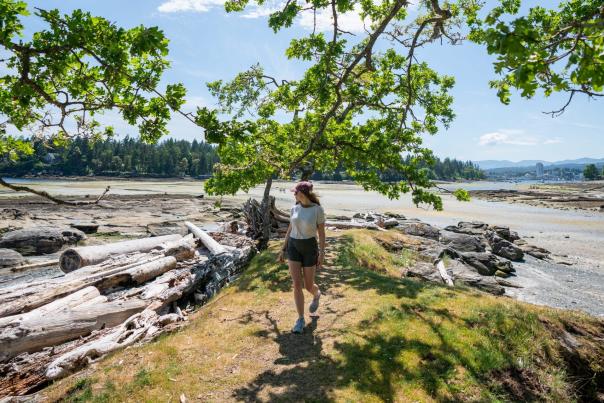 A person walking away from the sea and towards a tree.