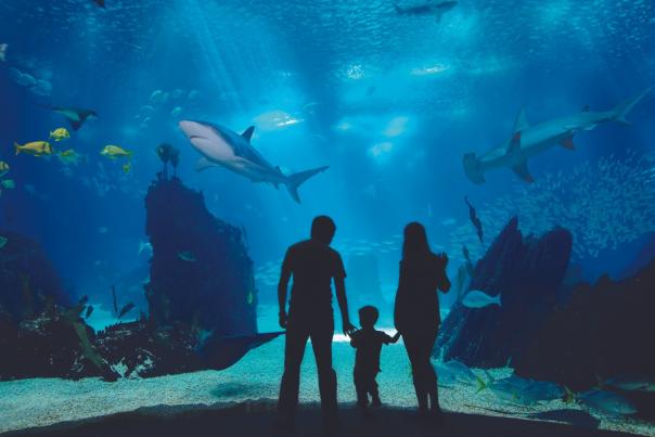 aquarium