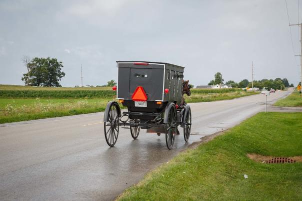 Amish Buggy in Middlebury